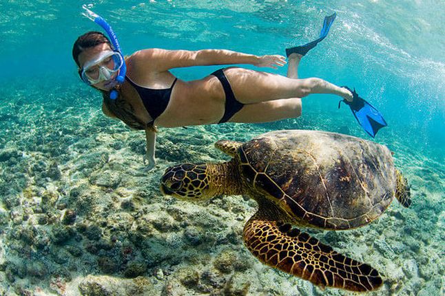 female snorkler with turtle