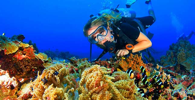 coral reef with female diver and clownfish