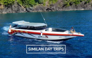 speedboat for daytrip to the Similans
