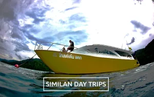 similan island diving cruise